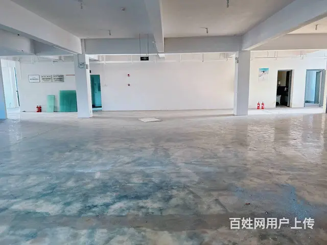 （老板本人）开福区标准园区独栋厂房/仓库/办公楼出租5872 - 图片 4