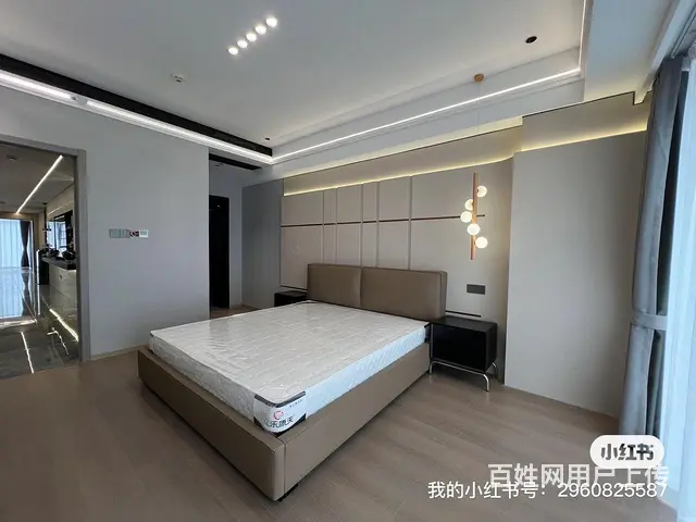 新出实拍 绿地 临江大道 全屋高定江景 超大落地窗 - 图片 7