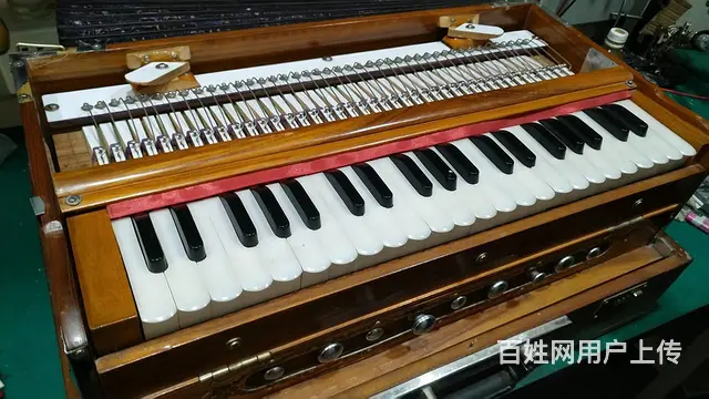 广州鹦鹉手风琴维修服务站，百乐金杯手风琴维修 - 图片 4
