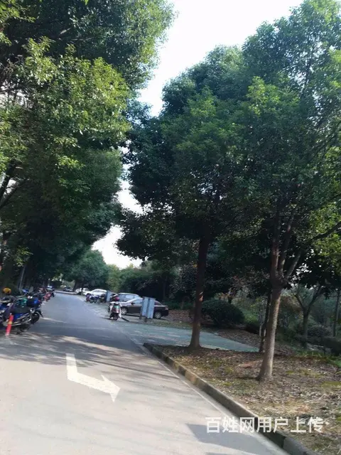 滨江明珠城 中间楼层 毛坯大三房 满五唯一 随时看 - 图片 12