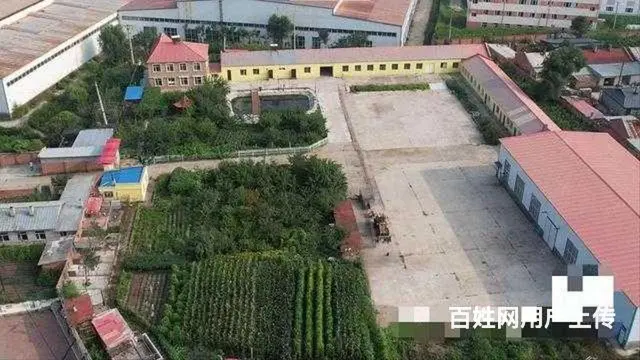 阿城舍利街厂房别墅出售 - 图片 2