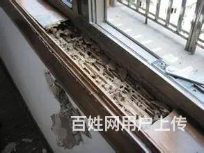 广汉白蚁防治公司，广汉灭白蚂蚁公司，杀虫公司 - 图片 2