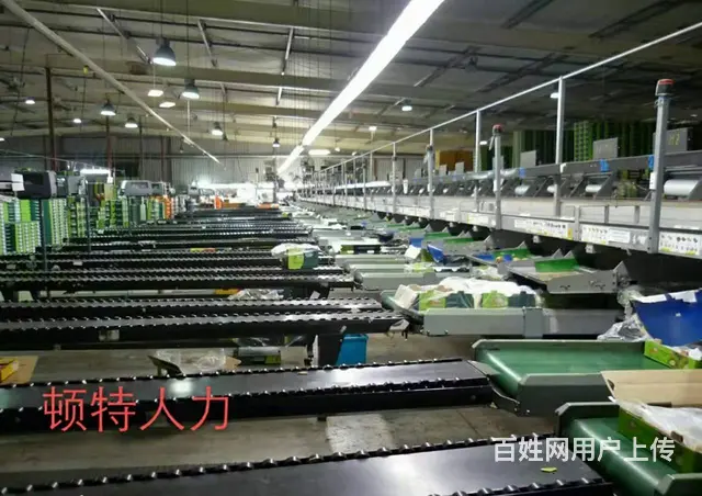 出国不受疫情影响新西兰直招年入四十万 - 图片