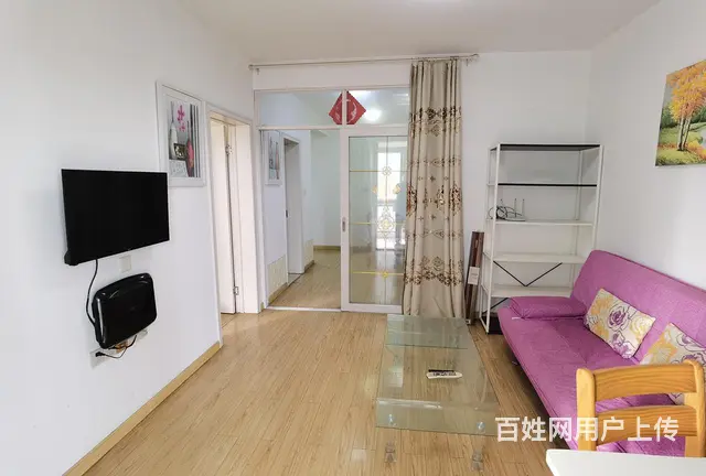 优价出租兰陵九洲新世界花苑二室二厅精装房 - 图片 9