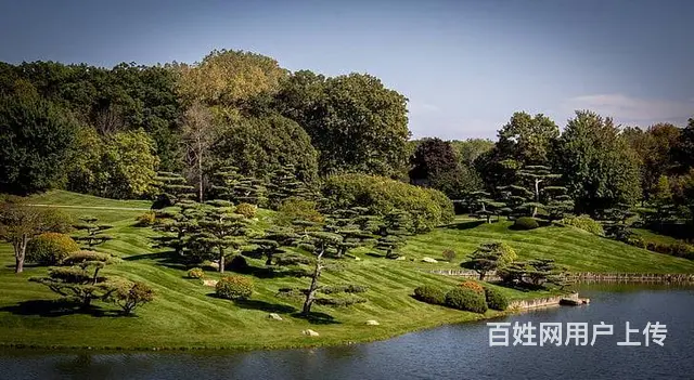 上海苏州有责任的翻译公司金桥 - 图片