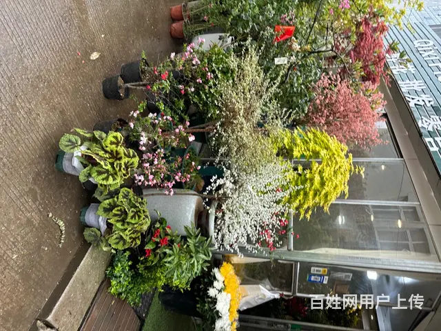 各种保洁清洗   地面清洗 别墅外墙清洗石材清洗 - 图片 7