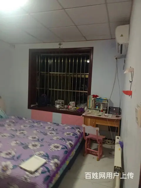 金锣文瑞火腿肠车间西门 - 图片 7