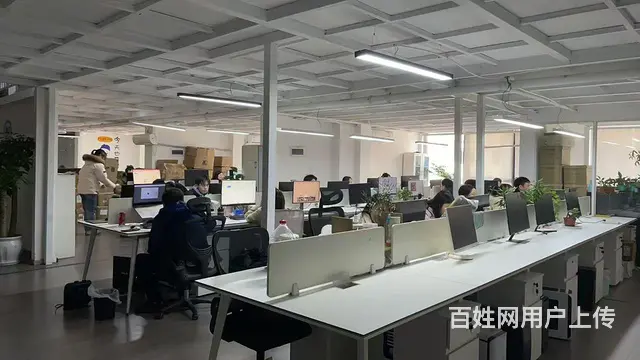 出售出租 - 图片 2