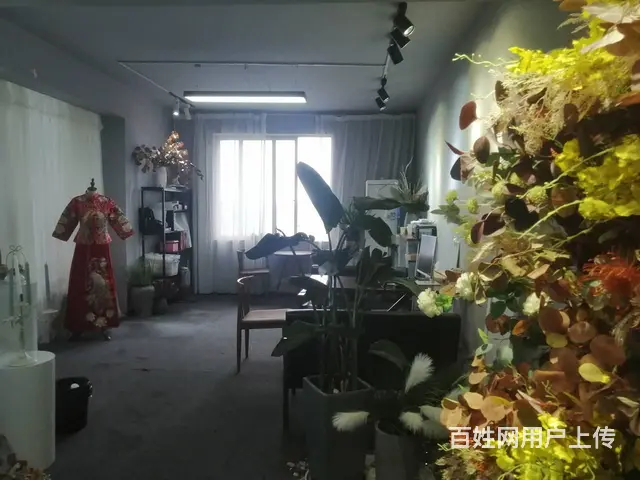 香港路盛邦帝标B栋--9-29 商住两用 简单装修 - 图片 6