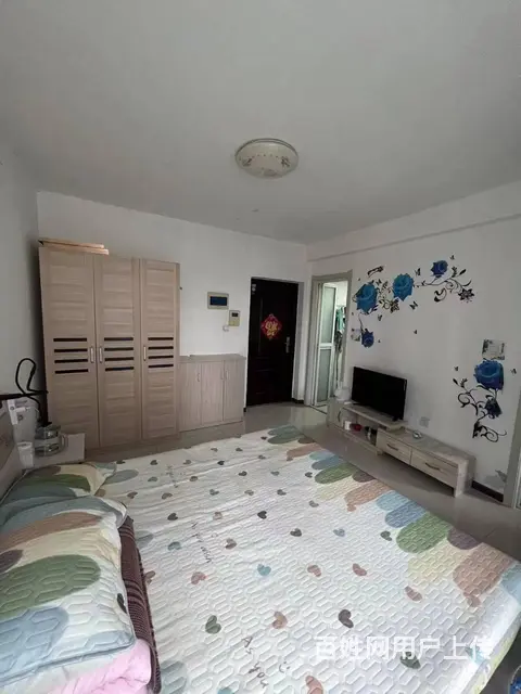 爱丽香舍 普通住宅 中等装修 - 图片 6