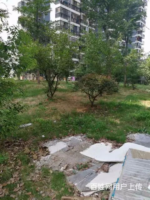东沙花园阳台 四号线 铁机路 押一付一 金禾中心 - 图片 12
