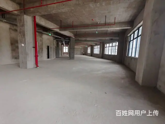 （51旺铺推荐）南沙路整栋4351平招商 - 图片 5
