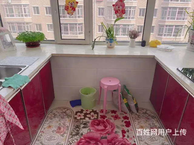 隆福花园小区301室65平方，17万 - 图片 9