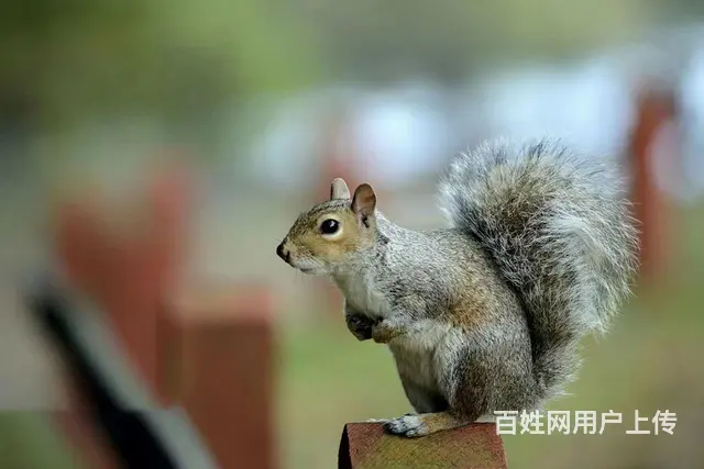 呼伦贝尔旅游包车师傅排名好的巴特尔师傅 - 图片 1