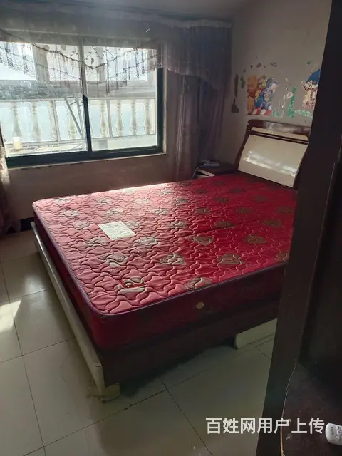  - 图片 4
