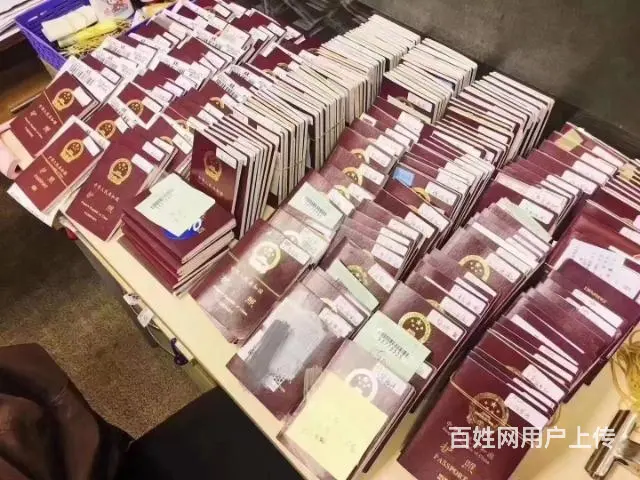 专业代办柬埔寨签证 护照和身份证 快速出签 - 图片