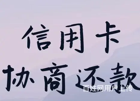 常州**分期债务规划 - 图片 3