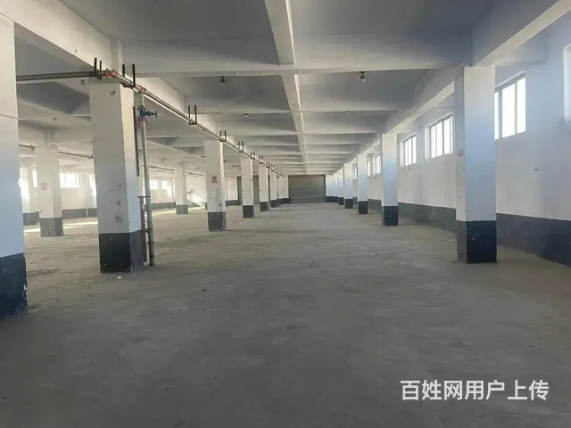(58）华星仓储物流 多个1000平 物流中转仓库出租 - 图片 4