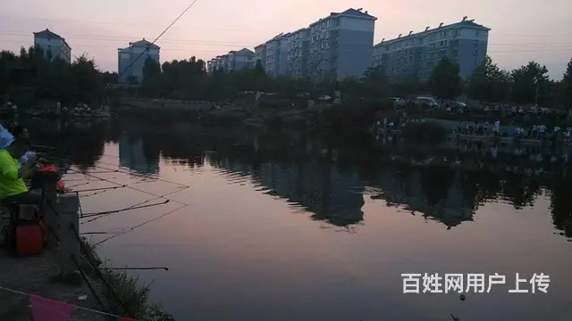 淄川白庙垂钓园出租 - 图片 1