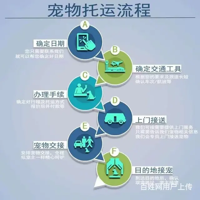 盐城宠物托运 （猫狗活体运输）宠物快递至全国 - 图片 3