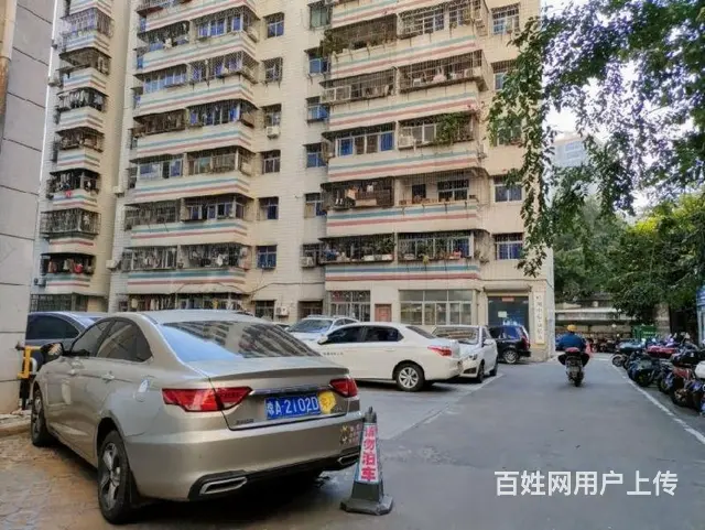 红城湖公园对面   水工大厦3房 - 图片 12