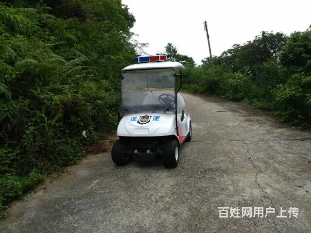 大量巡逻车，电动观光车出售 - 图片 5