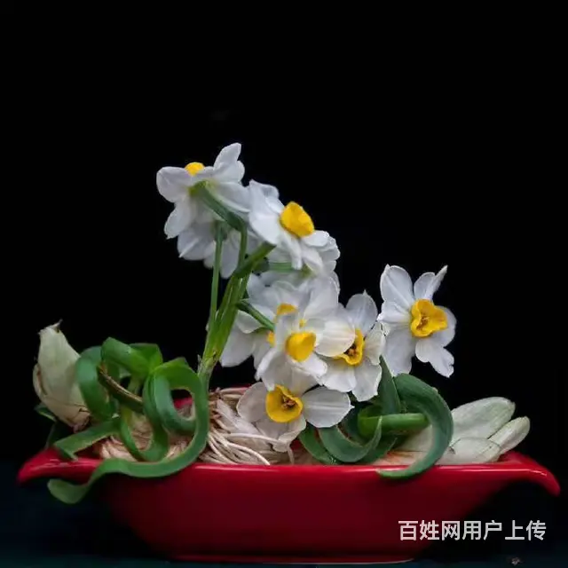 河南电力二级资质代办转让，郑州房建二电力二级转让 - 图片 1