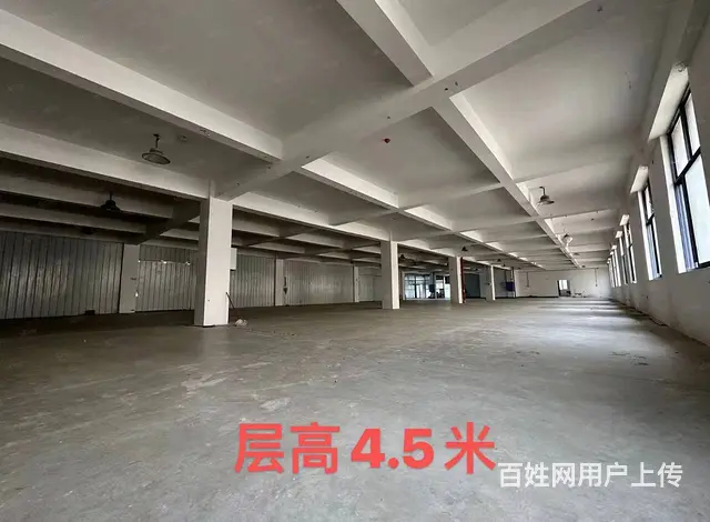(房东直租)芙蓉区广发隆平产业园2100平厂房优价出租 - 图片 9