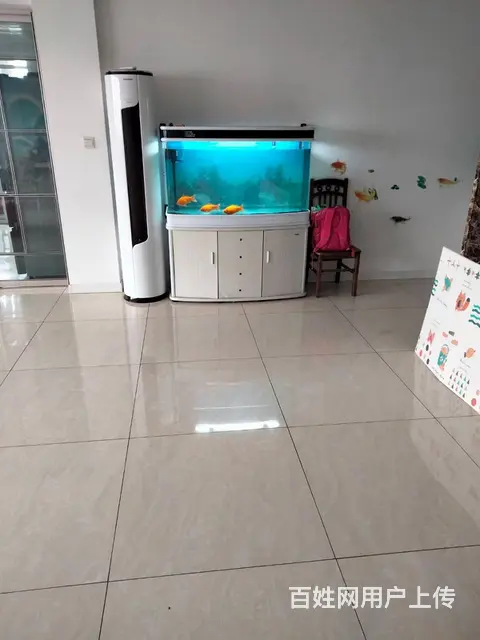 出售可丽爱品牌水族箱一米二 - 图片 1