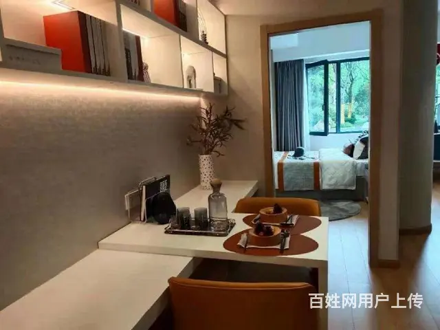 首付二十多买新北环球港两室地铁口外国语陪读房平层复试可选 - 图片 9