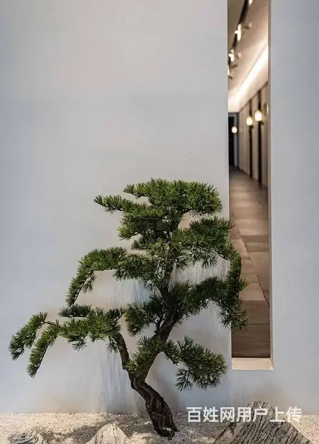 （51旺铺推荐）国贸860平棋牌室转让 - 图片 2