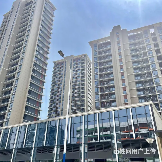 急售天宁区紫荆公园旁琅越龙洲小区大门口沿街旺铺直签 - 图片 7