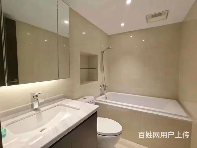 押一付一 姑苏院子 豪装3室3卫 有固定地下车位 靠近西园路 - 图片 6