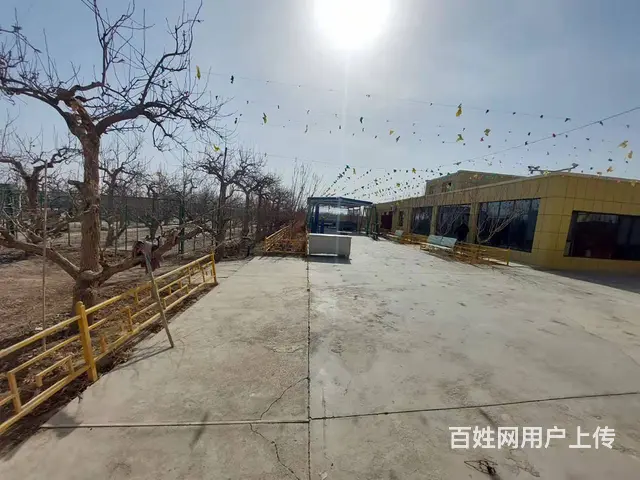 B个人一阿瓦提农场香梨园对外出售 - 图片 3