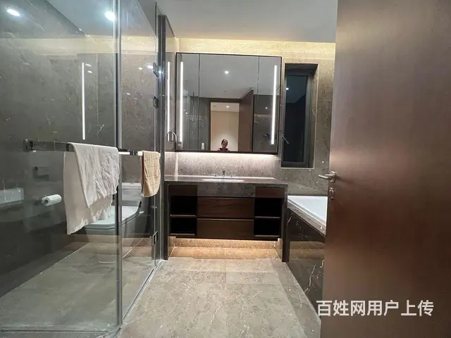 汉街  省政府 水果湖 skp接待办共好房  实地 - 图片 12