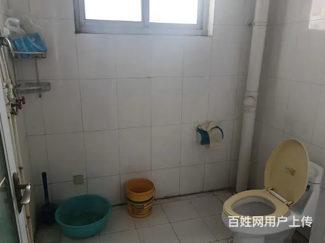  - 图片 5