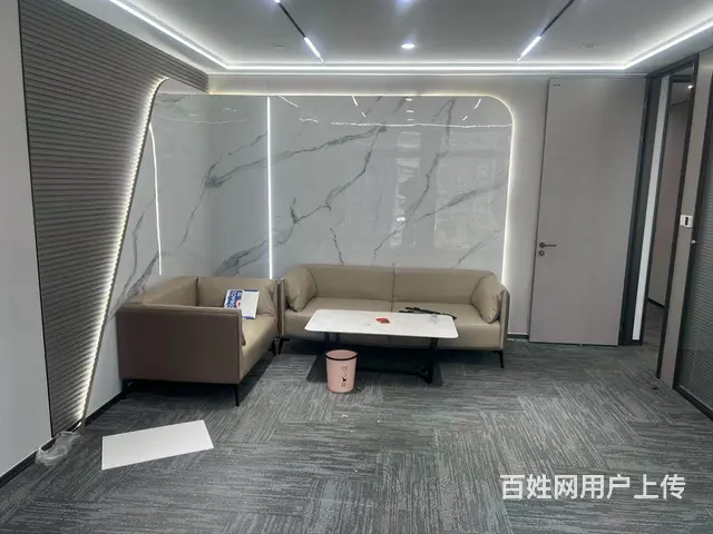 星城中心双地铁口精装修，带家具，拎包入住 - 图片 2