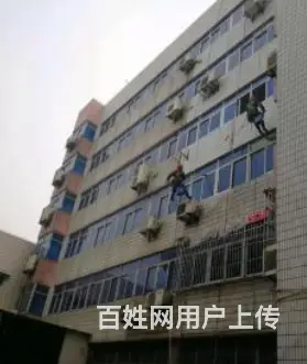 宜昌枝江专业的地板清洗 - 图片 2