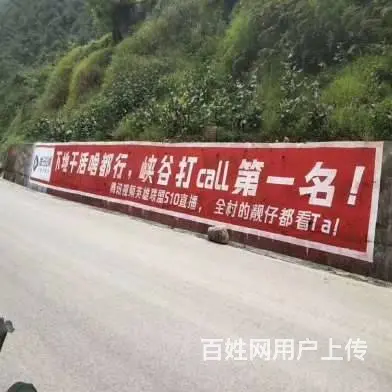 石家庄墙体广告施工服务 石家庄防水墙体广告服务 - 图片