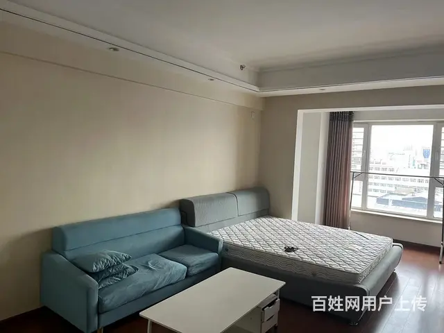 【搞定了！】鸡西万达公寓 公寓1厅 精装修 - 图片 2