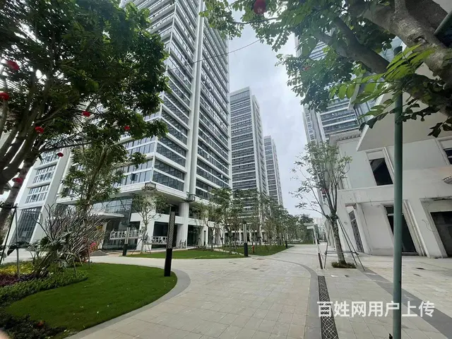 （51旺铺推荐）滨涯路绿地领海广场167和199平四套写字楼 - 图片 1