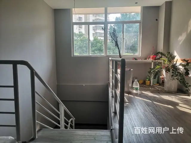 （51旺铺推荐）金贸西路185平旺铺出租 - 图片 4