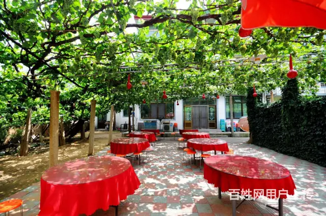 秦皇岛正式的北戴河渔岛附近住宿商家微信号怎么找 - 图片 2