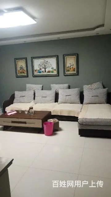 泗阳丰泰嘉园房屋整套出租 - 图片