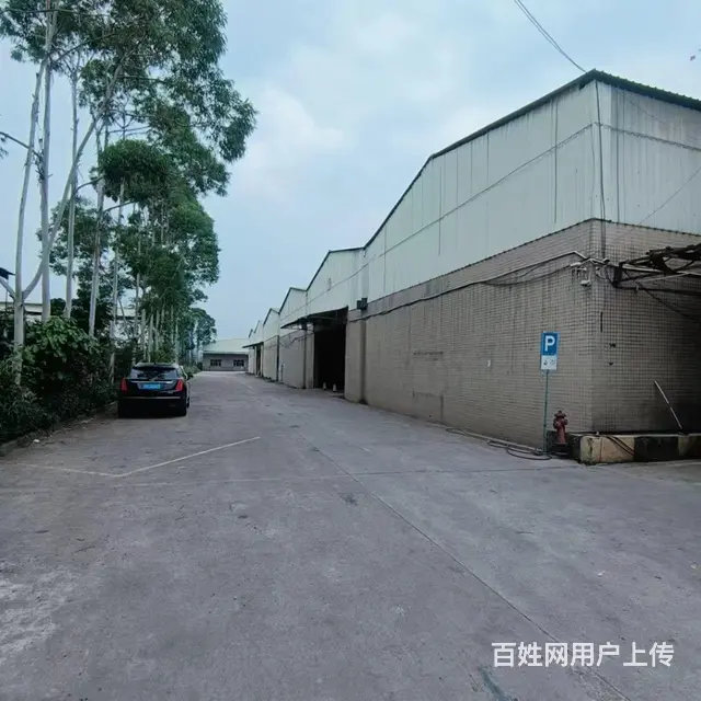 仙村厂房仓库出租出租 - 图片 2