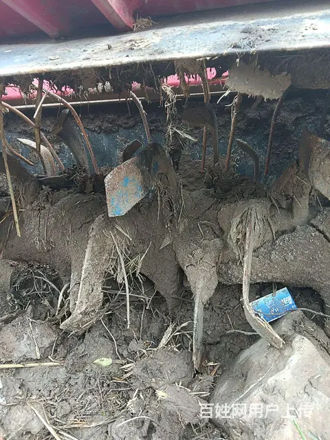 出售250型反转旋耕机双十模大箱 - 图片 2