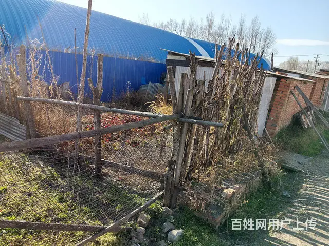 新华农场厂部平房 - 图片 5