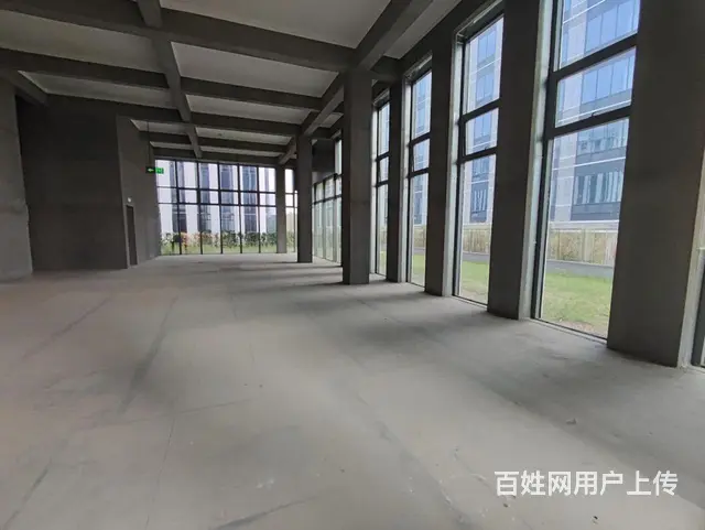 富春中国安谷花园独栋1100方2000方精装送大院子仅剩6栋 - 图片 8