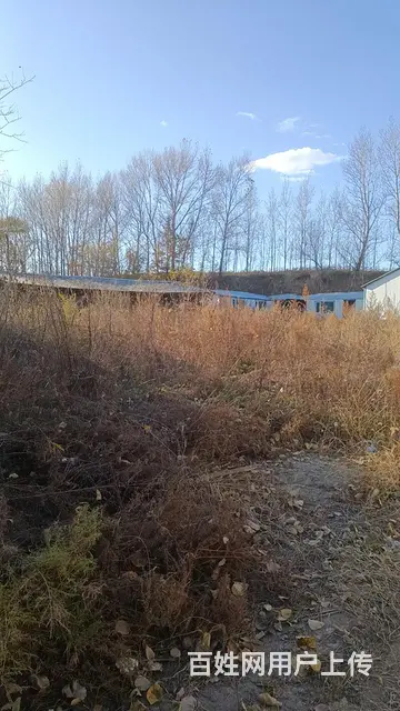 3600平土地厂房出租出售 - 图片 4