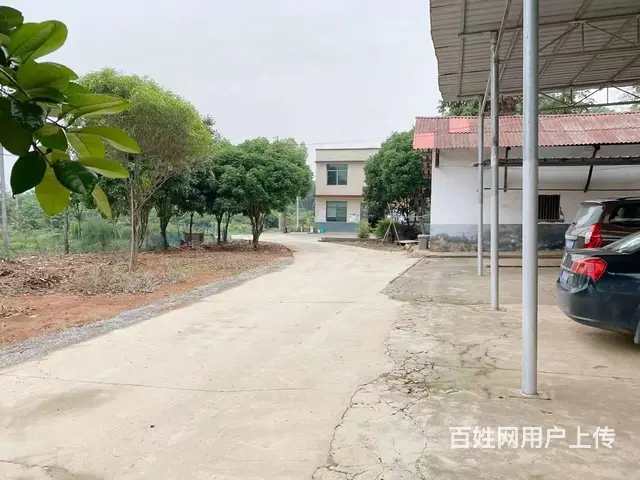 （老板本人）长沙县黄花镇仓库房东优价出租6669 - 图片 6